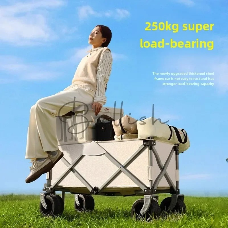 عربة تخييم قابلة للطي للاستخدا - مراجعة Outdoor Camping Trolley وسعره